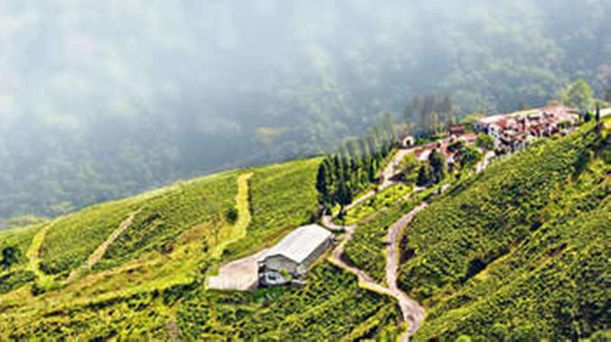 Central Nirvana Darjeeling  Extérieur photo