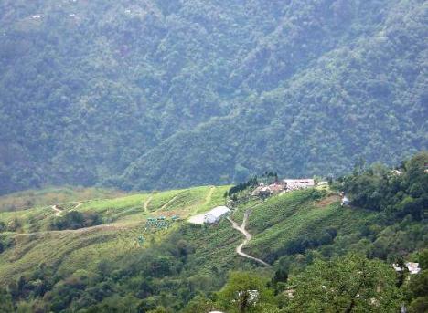 Central Nirvana Darjeeling  Extérieur photo
